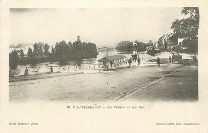 . CPA FRANCE 86 "Chatellerault, La Vienne et ses Iles"