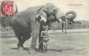 Asie CPA  INDE " Ceylon / Eléphant"
