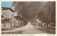 .CPA FRANCE 87 "St Léonard, Boulevard de la Promenade"