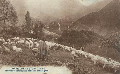 .CPA FRANCE 26 " Chatillon en Diois, Troupeau communal dans les montagnes"