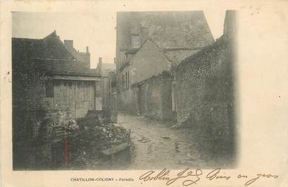 .CPA   FRANCE 45 " Chatillon - Colligny, Paradis"