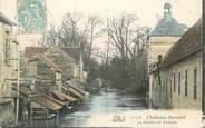 45 Loiret .CPA   FRANCE 45 "Château-Renard, La rivière du château"