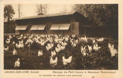 .CPA   FRANCE 45 "Meung sur Loire, Elevage du petit Aunay à Mr Flamencourt"