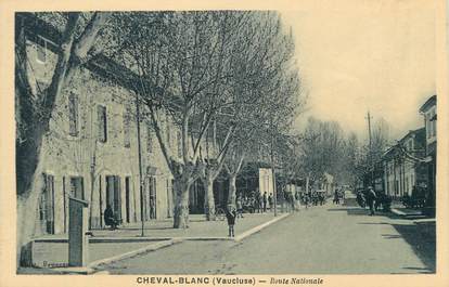 .CPA FRANCE 84 " Cheval Blanc, Route nationale"