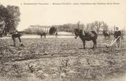 84 Vaucluse .CPA  FRANCE 84 " Carpentras, Pépinières du Château de la Plane"