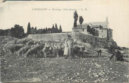 .CPA  FRANCE 84 " Cavaillon, Ermitage St Jacques"