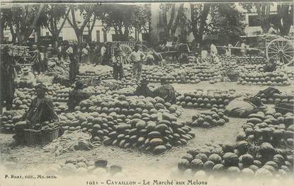 .CPA  FRANCE 84 " Cavaillon, Le marché aux melons"