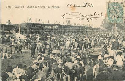 .CPA  FRANCE 84 " Cavaillon, Champ de course"