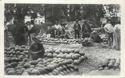 .CPSM  FRANCE 84 " Cavaillon,  Marché aux melons"