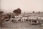 France  PHOTO ORIGINALE  /  FRANCE 13  "Valabre", moutons et berger"