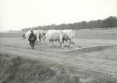 France PHOTO ORIGINALE / FRANCE 28 "En Beauce, attelage " / AGRICULTURE