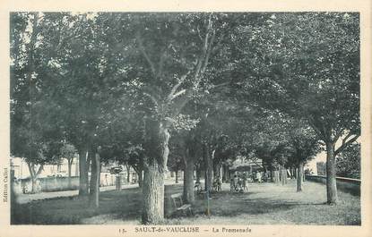 .CPA  FRANCE 84 "Sault de Vaucluse, La promenade"