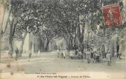 .CPA  FRANCE 84 "Ste Cécile les Vignes, Avenue de Valréas"