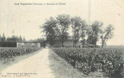 .CPA  FRANCE 84 "Les Vignères, Domaine de l'Evêché"