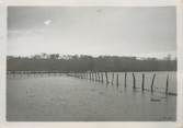 France  PHOTO ORIGINALE / FRANCE 62 " Les inondations entre Etaples et Montreuil, une vue à Hesdigneul"