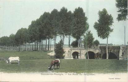 .CPA  FRANCE 77 " Ozouer le Voulgis, Le Pont du Seigneur"