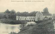 77 Seine Et Marne .CPA  FRANCE 77 "Beau Moulin, Le Loing et le moulin à plâtre"