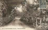 77 Seine Et Marne .CPA  FRANCE 77 "La Celle sur Morin, Route de Lavilleneuve"