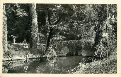 .CPSM   FRANCE 77 "Emerainville, La pièce d'eau du parc du château"