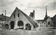 77 Seine Et Marne .CPSM   FRANCE 77 "Egreville, La halle et l'église St Martin"