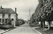 77 Seine Et Marne .CPSM  FRANCE 77 "Luisetaines, La grande rue"
