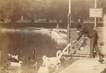 PHOTO ORIGINALE / FRANCE 75 "Paris, les Cygnes au Bois de Boulogne"