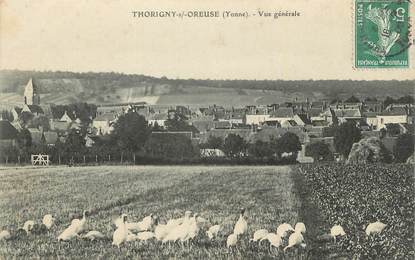 .CPA  FRANCE 89 "Thorigny sur Oreuse, Vue générale"