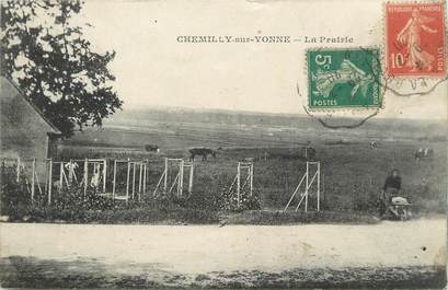 .CPA  FRANCE 89 "Chemilly sur Yonne, La prairie"