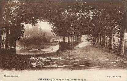 .CPA  FRANCE 89 "Charny, Les promenades"