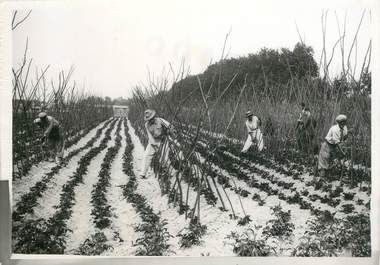 PHOTO ORIGINALE  / FRANCE 94 "Bonneuil, 1942"