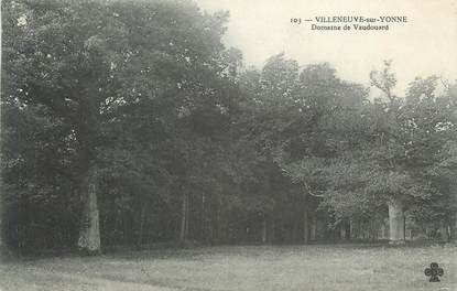 .CPA FRANCE 89 "Villeneuve sur Yonne, Domaine de Vaudouard "