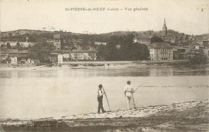 .CPA  FRANCE 42  "St Pierre de Boeuf, Vue générale "