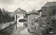 76 Seine Maritime .CPSM  FRANCE 76 "Longueville sur Scie, Les bords de la Scie"