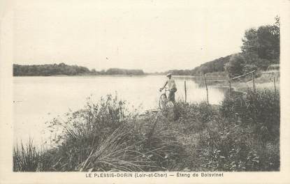 . CPA  FRANCE 41 " Le Plessis Dorin, Etang de Boisvinet"