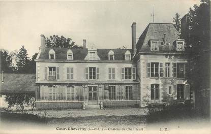 . CPA  FRANCE 41 " Cour -  Cheverny, Château de Chantreuil"