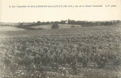 . CPA  FRANCE  49 "St Lambert du Lattay, Les vignobles vus de la route nationale"