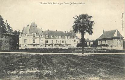 . CPA  FRANCE  49  "La Saulaie, Le château"