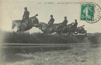 . CPA  FRANCE  49  " Le Breil"/ CHEVAUX