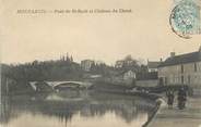 45 Loiret . CPA  FRANCE  45 "Montargis, Pont St Roch et Château du Christ"