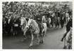 PHOTO ORIGINALE / THEME CINEMA "Le film Le Chien de Vigue avec Eddie CONSTANTINE"