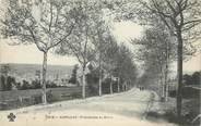 15 Cantal . CPA FRANCE 15 "Aurillac, Promenade du Barra"