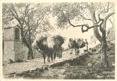 06 Alpe Maritime CPSM FRANCE 06 "Dans la campagne"