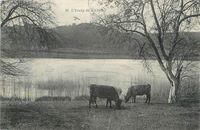 . CPA  FRANCE 15  "Madig, L'étang"