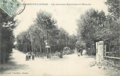 . CPA  FRANCE 44 " St Brévin l'Océan, Les avenues Brévinière et Blanche"
