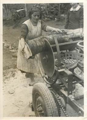 PHOTO ORIGINALE / THEME "Utilisation pratique d'un tracteur"