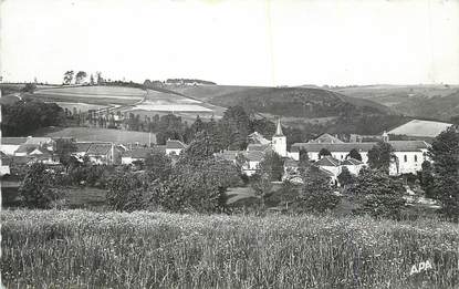 CPSM FRANCE 81 "Massals, Vue générale ".