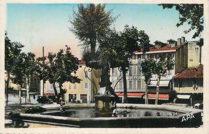 CPSM FRANCE 81 " Graulhet, L'arbre sur la fontaine".