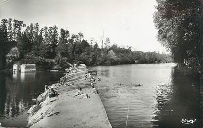 CPSM FRANCE 81 "St Sulpice la Pointe, Baignade sur le Tarn".