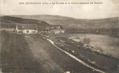 CPA FRANCE 01 "Ceyzérieu, La ferme et la prairie dessous les Roches".