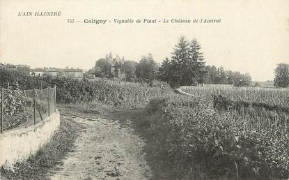 CPA FRANCE 01 "Coligny, Vignoble de Pinal, le château de l'Amiiral".
